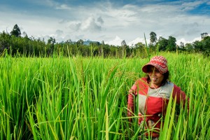 West Kalimantan, Indonesia Allocates $35,000 to Sustain Family Planning Advocacy Across 14 Districts