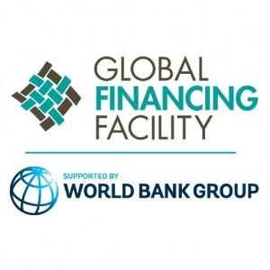The Global Financing Facility Investors Group Unanimously Approves Civil Society Engagement Strategy